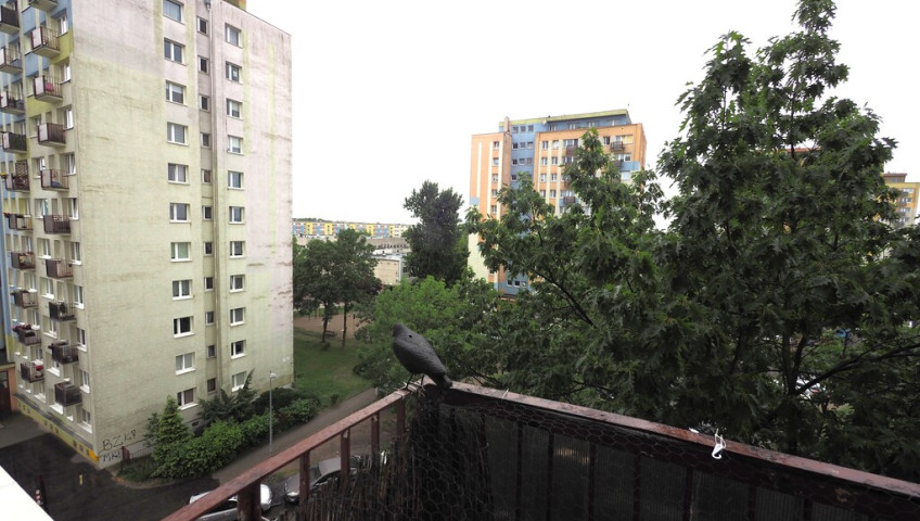 Mieszkanie Sprzedaż Bydgoszcz Kapuściska